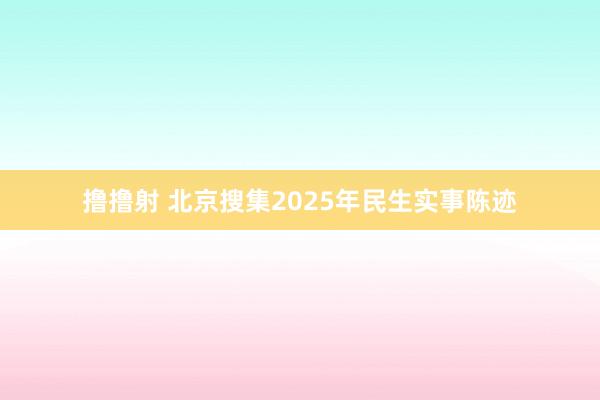 撸撸射 北京搜集2025年民生实事陈迹