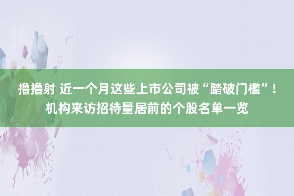 撸撸射 近一个月这些上市公司被“踏破门槛”！机构来访招待量居前的个股名单一览