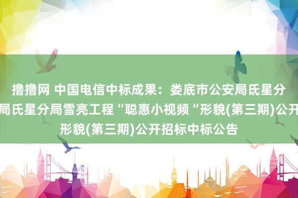 撸撸网 中国电信中标成果：娄底市公安局氐星分局娄底市公安局氏星分局雪亮工程“聪惠小视频“形貌(第三期)公开招标中标公告