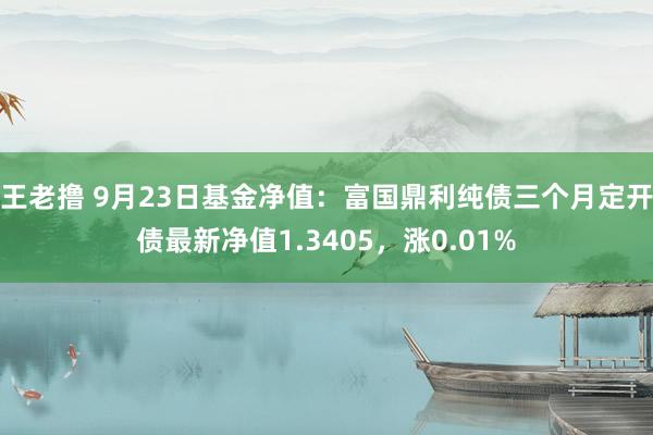 王老撸 9月23日基金净值：富国鼎利纯债三个月定开债最新净值1.3405，涨0.01%