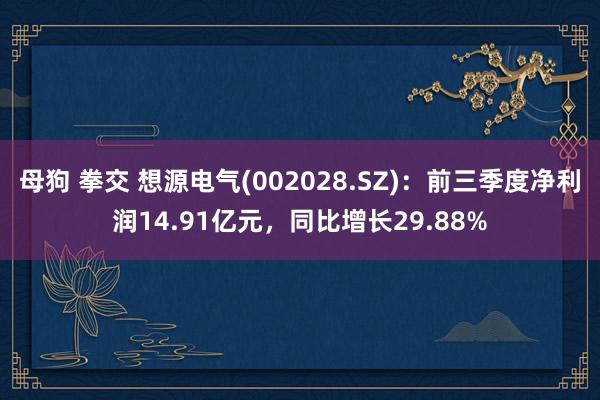 母狗 拳交 想源电气(002028.SZ):前三季度净利润14.91亿元,同比增长29.88%