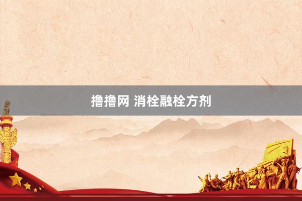 撸撸网 消栓融栓方剂