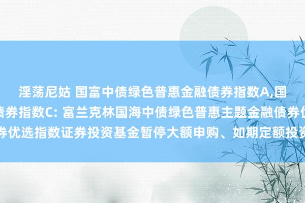 淫荡尼姑 国富中债绿色普惠金融债券指数A,国富中债绿色普惠金融债券指数C: 富兰克林国海中债绿色普惠主题金融债券优选指数证券投资基金暂停大额申购、如期定额投资以及养息转入业务的公告