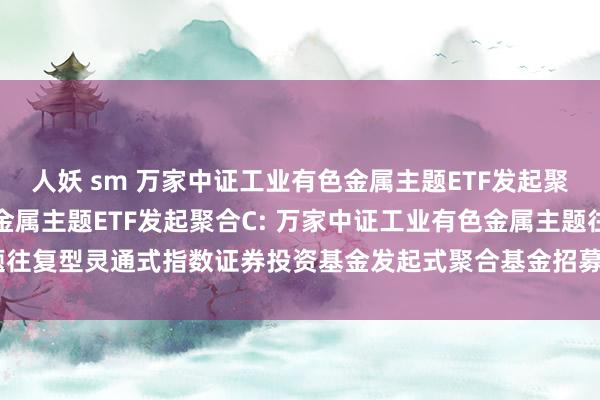 人妖 sm 万家中证工业有色金属主题ETF发起聚合A,万家中证工业有色金属主题ETF发起聚合C: 万家中证工业有色金属主题往复型灵通式指数证券投资基金发起式聚合基金招募说明书更新(2024年第1号)