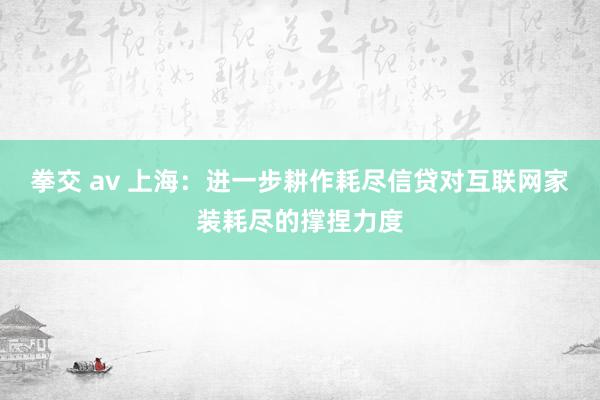 拳交 av 上海：进一步耕作耗尽信贷对互联网家装耗尽的撑捏力度