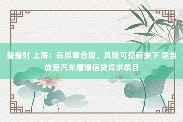 撸撸射 上海：在照章合规、风险可控前提下 适当放宽汽车糟塌信贷肯求条目