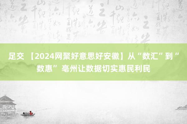 足交 【2024网聚好意思好安徽】从“数汇”到“数惠” 亳州让数据切实惠民利民