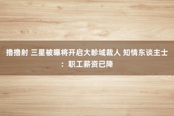 撸撸射 三星被曝将开启大畛域裁人 知情东谈主士：职工薪资已降