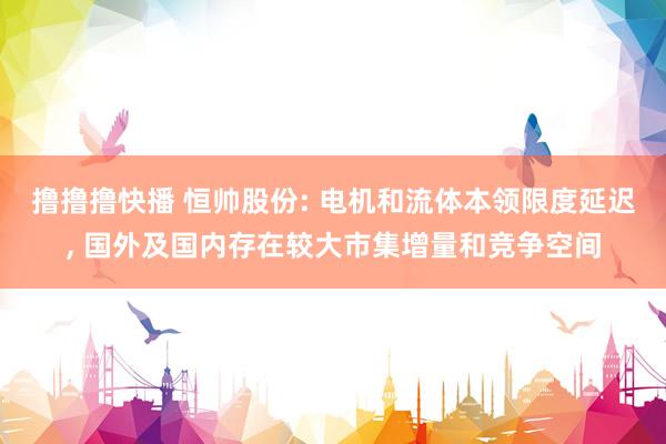 撸撸撸快播 恒帅股份: 电机和流体本领限度延迟， 国外及国内存在较大市集增量和竞争空间
