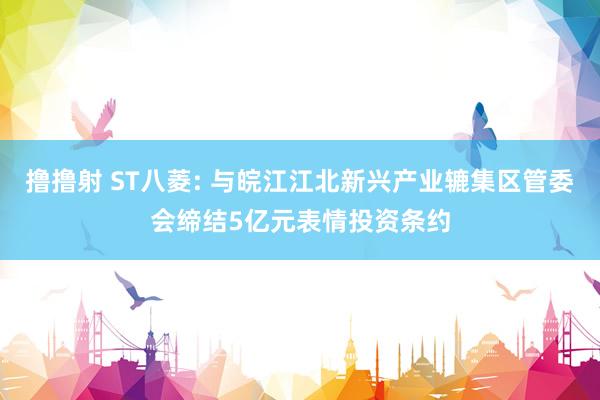 撸撸射 ST八菱: 与皖江江北新兴产业辘集区管委会缔结5亿元表情投资条约