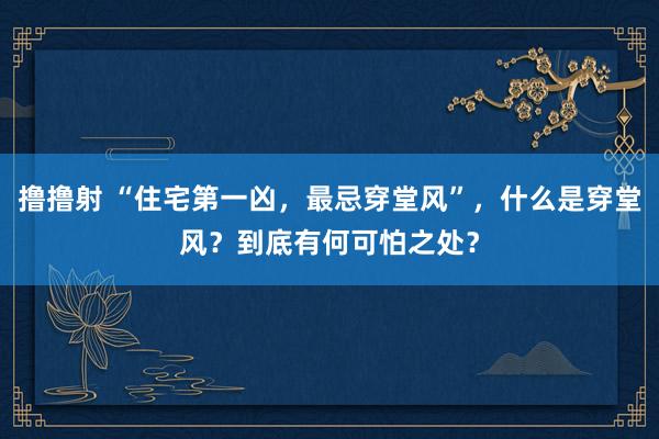 撸撸射 “住宅第一凶，最忌穿堂风”，什么是穿堂风？到底有何可怕之处？