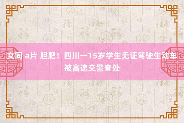 女同 a片 胆肥！四川一15岁学生无证驾驶生动车被高速交警查处