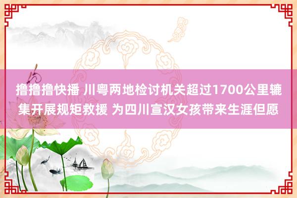 撸撸撸快播 川粤两地检讨机关超过1700公里辘集开展规矩救援 为四川宣汉女孩带来生涯但愿