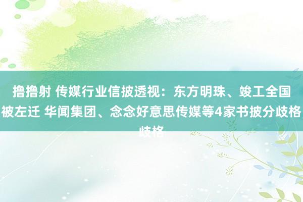 撸撸射 传媒行业信披透视：东方明珠、竣工全国被左迁 华闻集团、念念好意思传媒等4家书披分歧格
