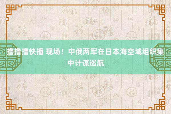 撸撸撸快播 现场！中俄两军在日本海空域组织集中计谋巡航