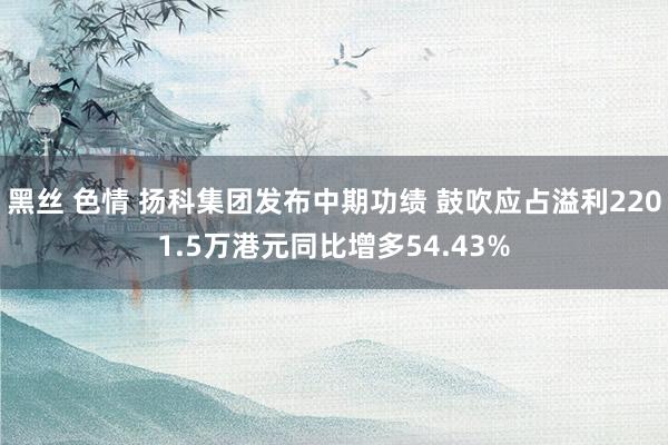 黑丝 色情 扬科集团发布中期功绩 鼓吹应占溢利2201.5万港元同比增多54.43%