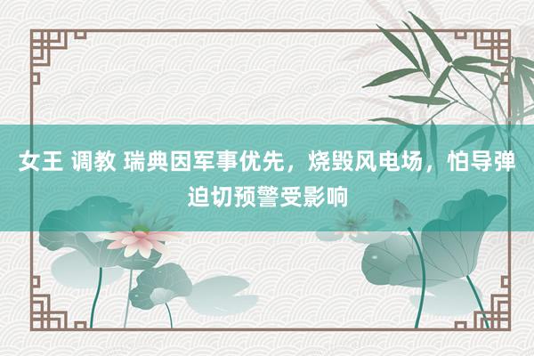 女王 调教 瑞典因军事优先，烧毁风电场，怕导弹迫切预警受影响