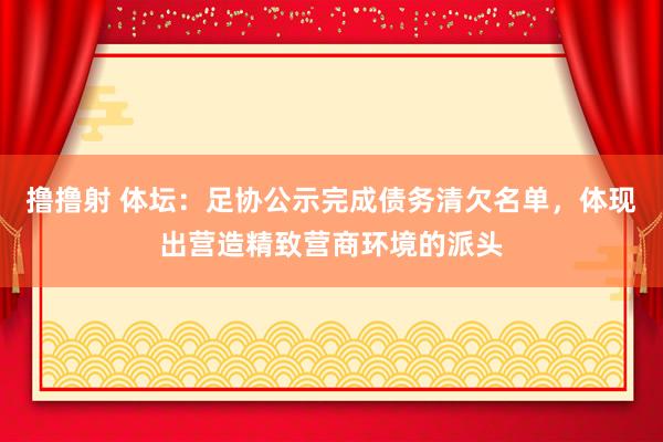 撸撸射 体坛：足协公示完成债务清欠名单，体现出营造精致营商环境的派头