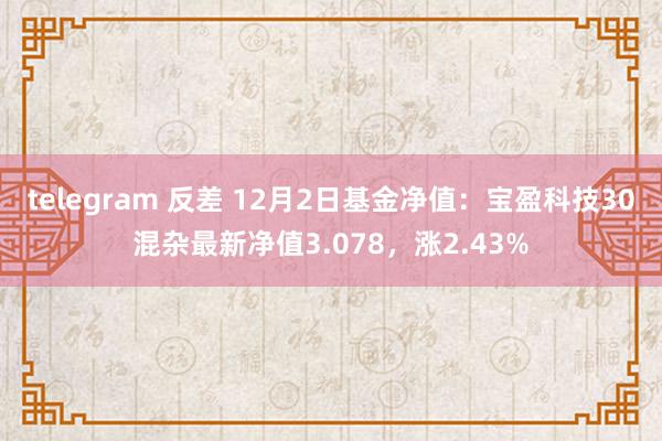 telegram 反差 12月2日基金净值：宝盈科技30混杂最新净值3.078，涨2.43%