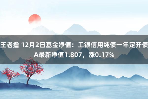王老撸 12月2日基金净值：工银信用纯债一年定开债A最新净值1.807，涨0.17%