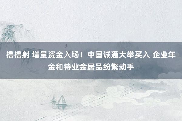 撸撸射 增量资金入场！中国诚通大举买入 企业年金和待业金居品纷繁动手