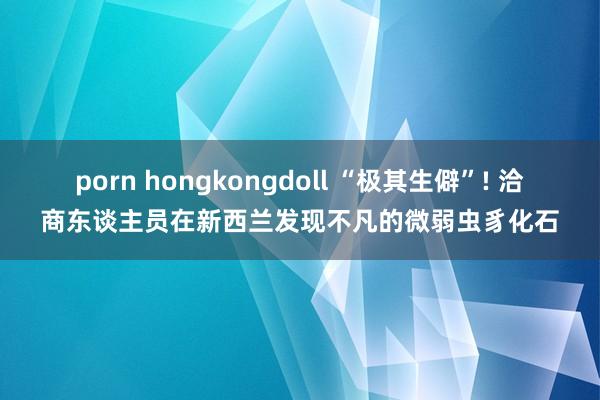 porn hongkongdoll “极其生僻”! 洽商东谈主员在新西兰发现不凡的微弱虫豸化石