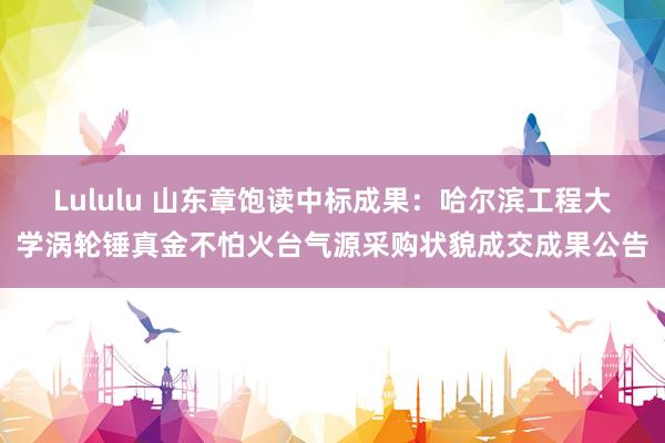 Lululu 山东章饱读中标成果：哈尔滨工程大学涡轮锤真金不怕火台气源采购状貌成交成果公告