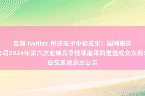 巨臀 twitter 积成电子中标成果:国网重庆市电力公司2024年第六次业绩竞争性琢磨采购推选成交东说念主公示