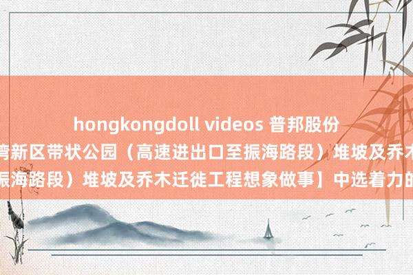 hongkongdoll videos 普邦股份中标着力：对于【东莞滨海湾新区带状公园（高速进出口至振海路段）堆坡及乔木迁徙工程想象做事】中选着力的公告