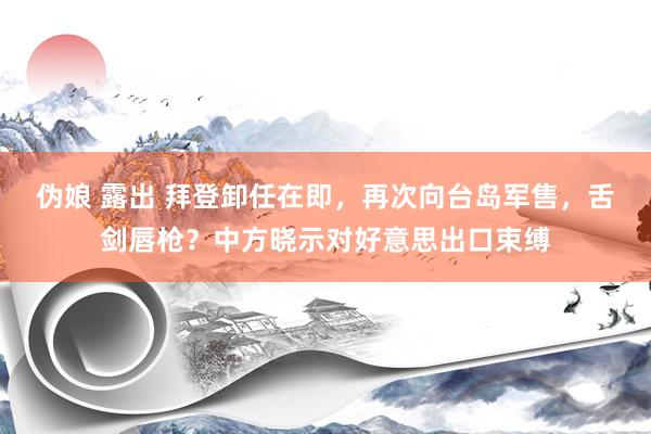 伪娘 露出 拜登卸任在即，再次向台岛军售，舌剑唇枪？中方晓示对好意思出口束缚