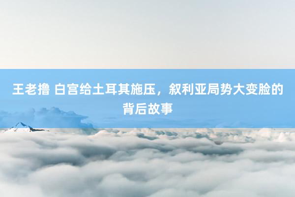 王老撸 白宫给土耳其施压，叙利亚局势大变脸的背后故事