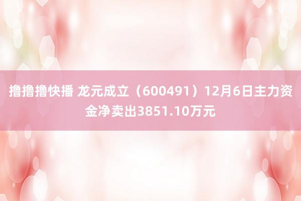 撸撸撸快播 龙元成立（600491）12月6日主力资金净卖出3851.10万元