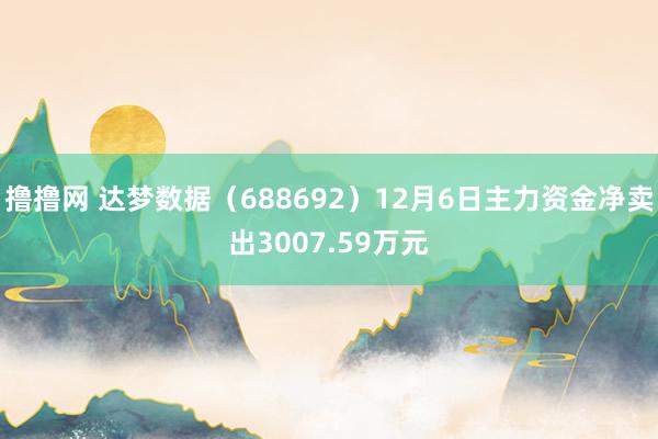 撸撸网 达梦数据（688692）12月6日主力资金净卖出3007.59万元