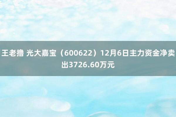 王老撸 光大嘉宝（600622）12月6日主力资金净卖出3726.60万元