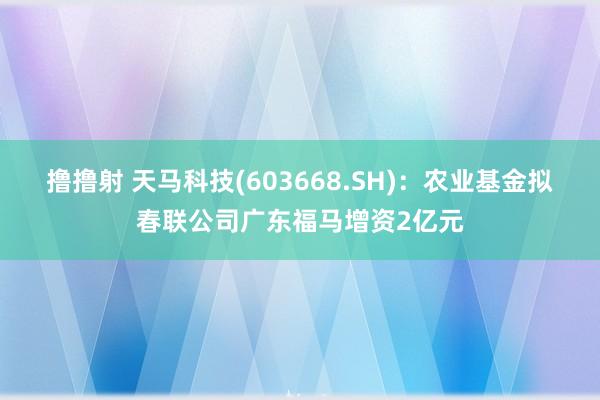 撸撸射 天马科技(603668.SH)：农业基金拟春联公司广东福马增资2亿元