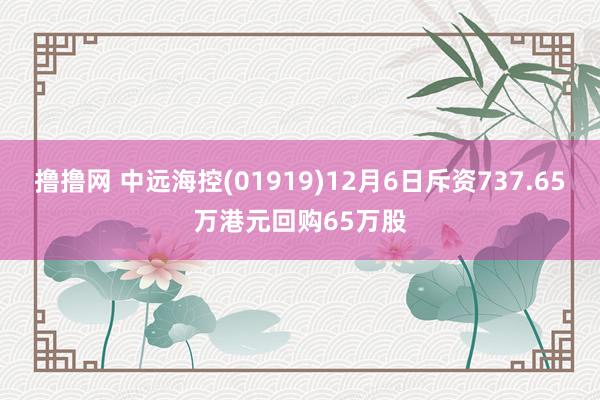 撸撸网 中远海控(01919)12月6日斥资737.65万港元回购65万股