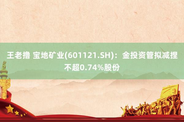 王老撸 宝地矿业(601121.SH)：金投资管拟减捏不超0.74%股份