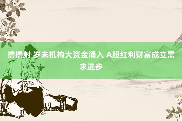 撸撸射 岁末机构大资金涌入 A股红利财富成立需求进步