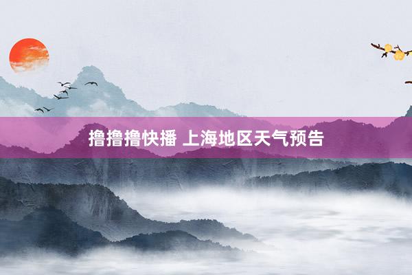 撸撸撸快播 上海地区天气预告