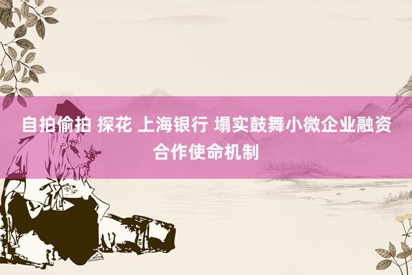 自拍偷拍 探花 上海银行 塌实鼓舞小微企业融资合作使命机制