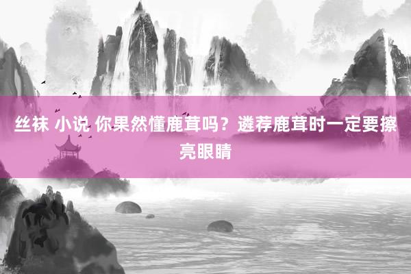 丝袜 小说 你果然懂鹿茸吗？遴荐鹿茸时一定要擦亮眼睛