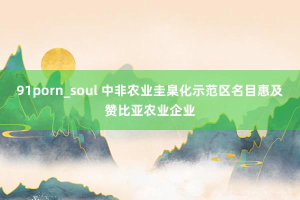 91porn_soul 中非农业圭臬化示范区名目惠及赞比亚农业企业
