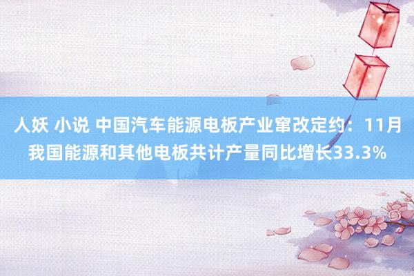 人妖 小说 中国汽车能源电板产业窜改定约：11月我国能源和其他电板共计产量同比增长33.3%