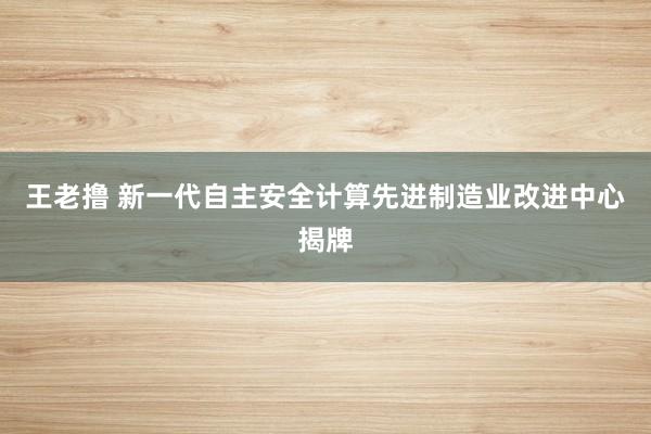 王老撸 新一代自主安全计算先进制造业改进中心揭牌