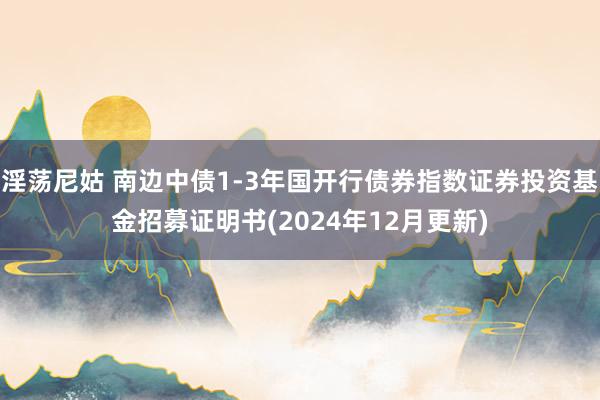 淫荡尼姑 南边中债1-3年国开行债券指数证券投资基金招募证明书(2024年12月更新)
