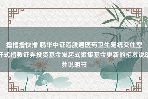 撸撸撸快播 鹏华中证港股通医药卫生笼统交往型敞开式指数证券投资基金发起式聚集基金更新的招募说明书