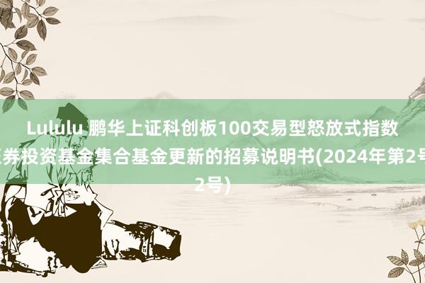 Lululu 鹏华上证科创板100交易型怒放式指数证券投资基金集合基金更新的招募说明书(2024年第2号)