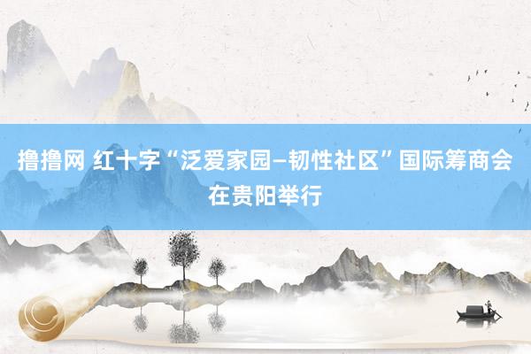 撸撸网 红十字“泛爱家园—韧性社区”国际筹商会在贵阳举行