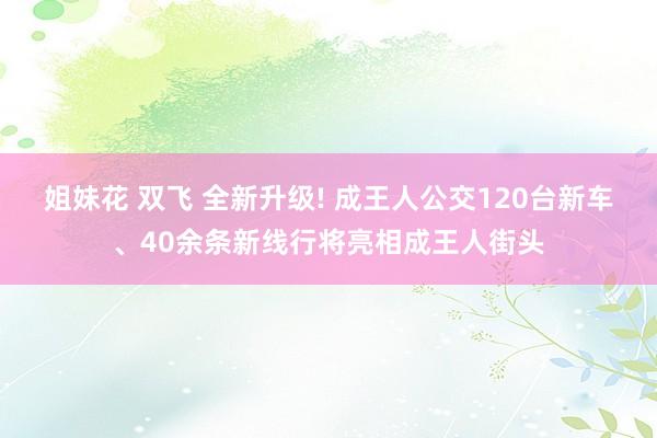 姐妹花 双飞 全新升级! 成王人公交120台新车、40余条新线行将亮相成王人街头