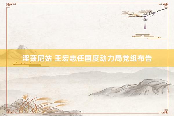 淫荡尼姑 王宏志任国度动力局党组布告